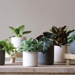 Hakbijl Plantenpot/bloempot Cindy - keramiek - D17 x H17 cm