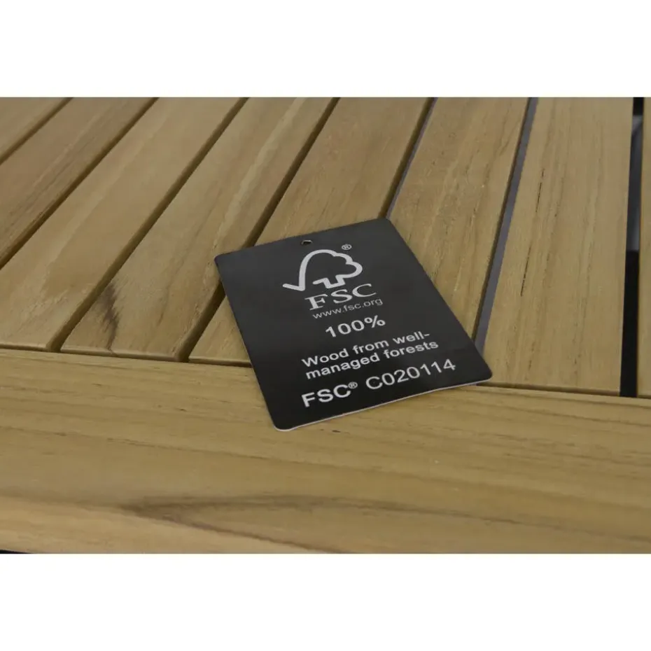 Hartman Da Vinci / Sonata 160 cm. verstelbare tuinset