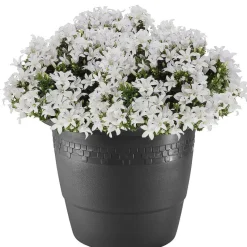 Hega Hogar Bloempot - antraciet - kunststof - sierrand - 60 cm