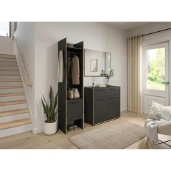 Hioshop Bueno kommode 2 deuren- 2 lades donkergrijs