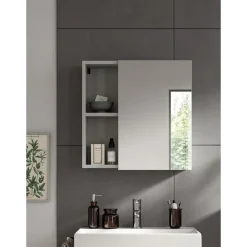 Hioshop Copa spiegelkast 1 deur 2 vakken lichtgrijs- spiegel