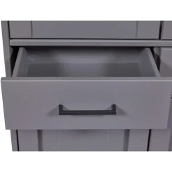 Hioshop Forenzo vitrinekast 4 deuren- 2 lades grijs- natuur