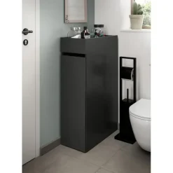 Hioshop Free badkamerkast 1 lade- 3 planken antraciet