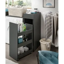 Hioshop Free badkamerkast 1 lade- 3 planken antraciet