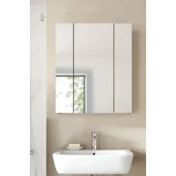 Hioshop Ice spiegelkast zwart mat- eiken decor