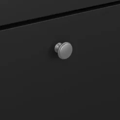 Hioshop Madrid schoenenkast 2 kleppen zwart mat