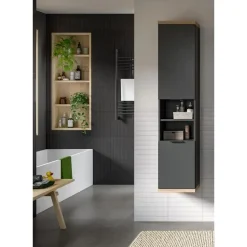 Hioshop Nuaro badkamerkast wandgemonteerd 2 deuren grijs