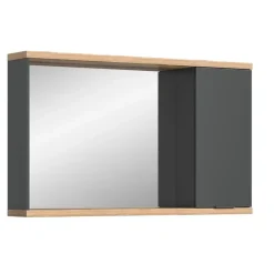 Hioshop Nuaro spiegelkast 1 deur grijs