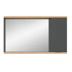 Hioshop Nuaro spiegelkast 1 deur grijs