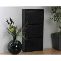 Hioshop Pisa schoenenkast zwart metaal met 3 vakken