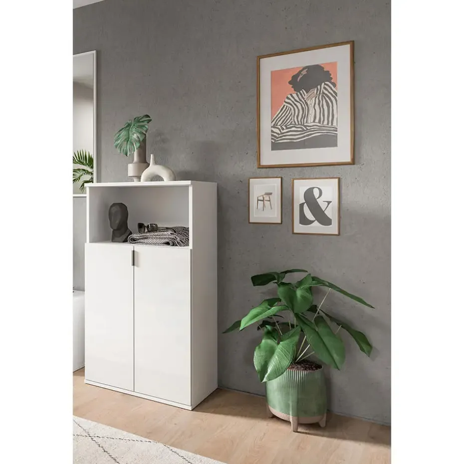 Hioshop ProjektX schoenenkast 2 deuren 1 vak wit hoogglans