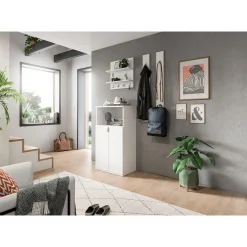 Hioshop ProjektX schoenenkast 2 deuren 1 vak wit hoogglans