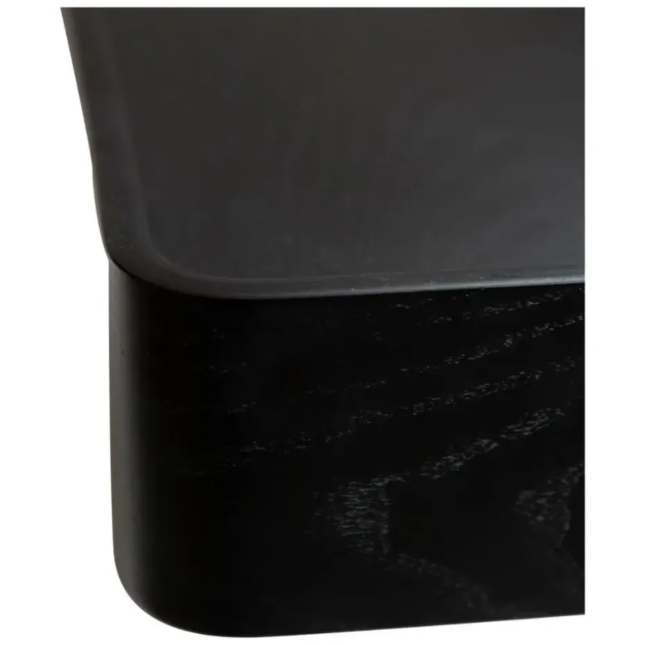 Hioshop Protopia Dan-Form wandplank fineer essen zwart