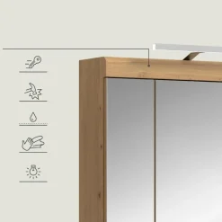 Hioshop Scout spiegelkast 2 deuren- 3 spiegeldeuren- 3 planken salvie decor-