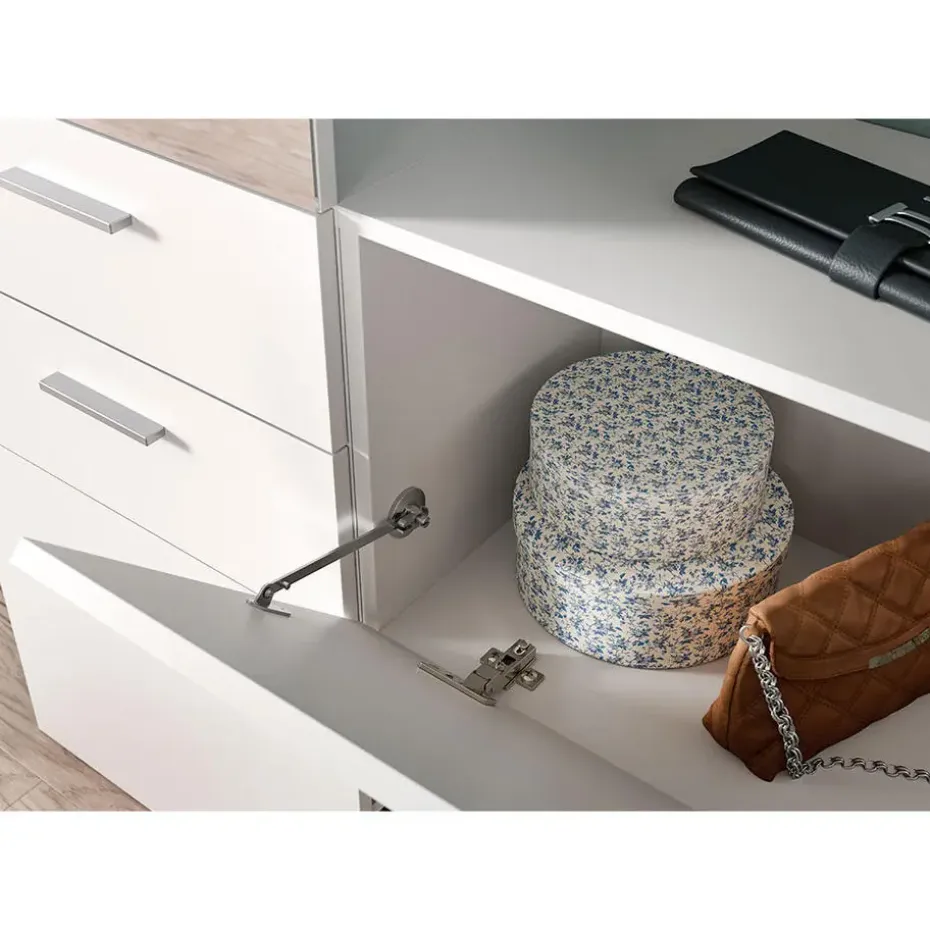 Hioshop Vaga schoenenkast wandgemonteerd 52x39cm 1 klepdeur wit