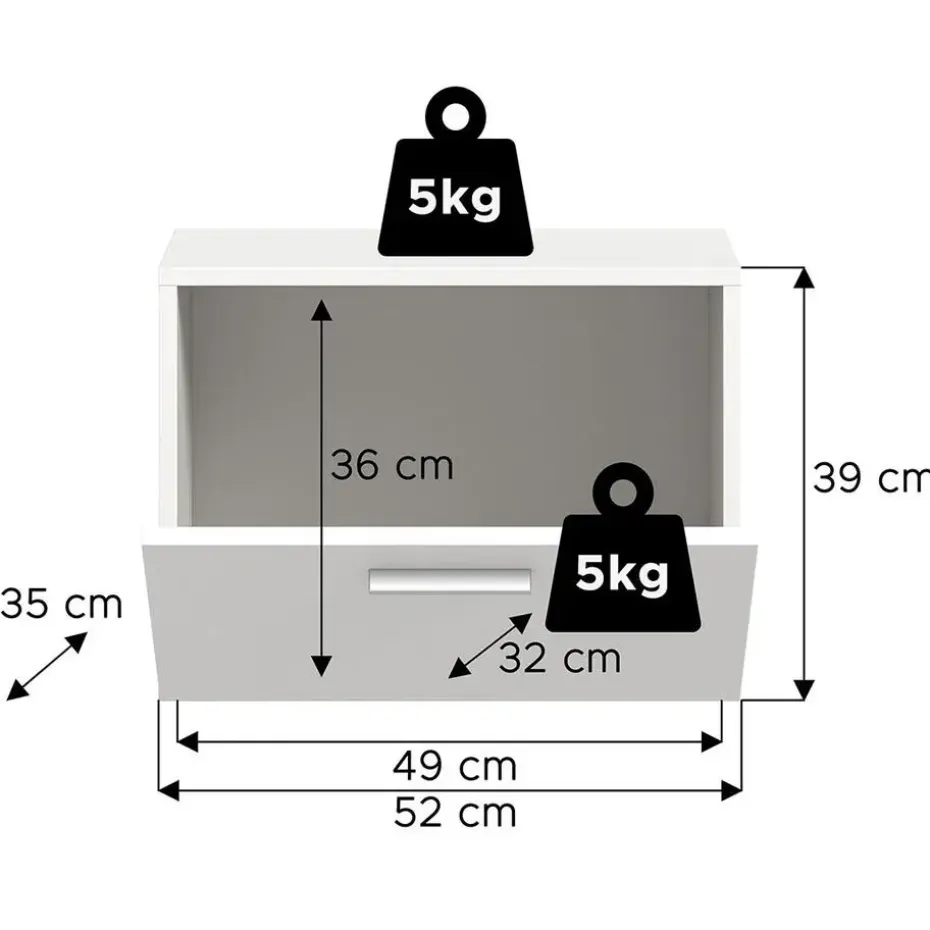 Hioshop Vaga schoenenkast wandgemonteerd 52x39cm 1 klepdeur wit