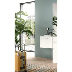 Hioshop Vaga schoenenkast wandgemonteerd 52x39cm 1 klepdeur wit