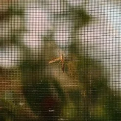 HIXA Raamhor 130x150 anti-insect 2 stuks