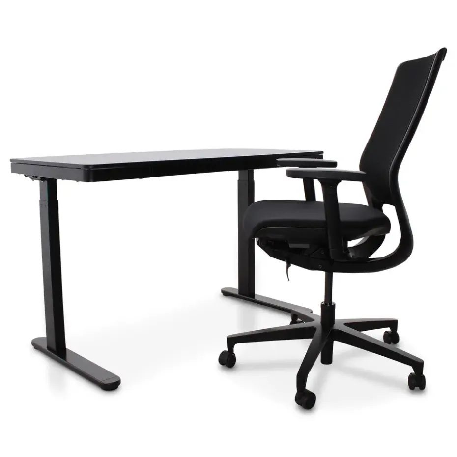 Home Office - Zwart - 120 x 60 - Zit-sta bureau elektrisch verstelbaar