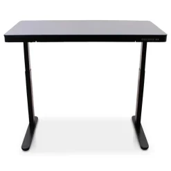 Home Office - Zwart - 120 x 60 - Zit-sta bureau elektrisch verstelbaar