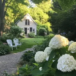 Hortensia - Hydrangea 'Strong Annabelle' - Hoogte 30-40cm - ⌀19cm
