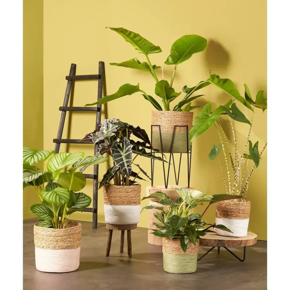 House of Seasons Ladderrek - L29 x B49 x H119 cm - Zwart