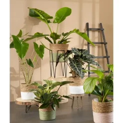 House of Seasons Ladderrek - L29 x B49 x H119 cm - Zwart