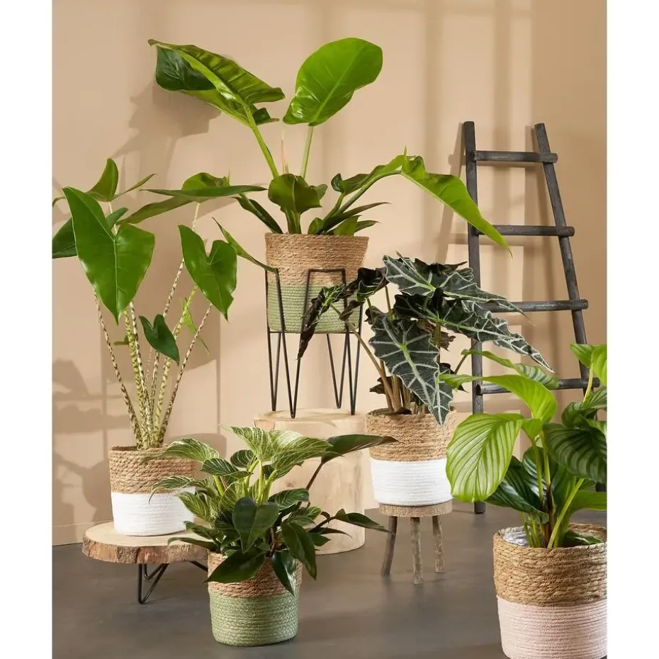 House of Seasons Ladderrek - L29 x B49 x H119 cm - Zwart