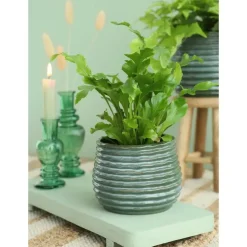 Ideas4seasons Plantenpot ribbel - donkergroen - D14 x H10 cm