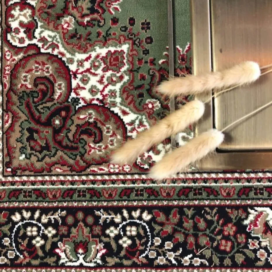 Interieur05 Eva Interior vintage Vloerkleed nain Perzisch Groen - 320 x 235 cm