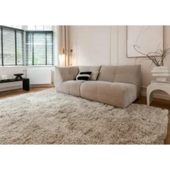 Interieur05 Hoogpolig Vloerkleed Polyester Pilo Beige - 150 x 80 cm