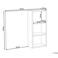 JOINVILLE - Badkamerwandkast met spiegel - Zwart - Vezelplaat