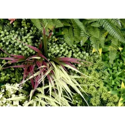 Kunsthaag wandpaneel - Mix blad B - 100x100 cm