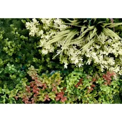 Kunsthaag wandpaneel - Mix blad A - 100x100 cm