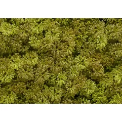 Kunsthaag wandpanelen - Mospaneel legergroen - 100x100 cm