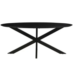 Livingfurn - Eetkamertafel Oslo Oval Black 160 cm - Mangohout