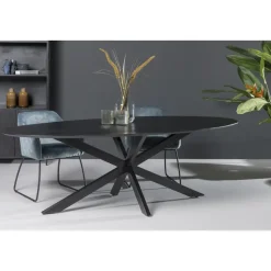 Livingfurn - Eetkamertafel Oslo Oval Black 160 cm - Mangohout