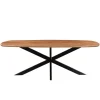 Livingfurn - Eetkamertafel Jesper Danish Oval 210cm - Mangohout
