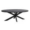 Livingfurn - Eetkamertafel Kala Oval Spider 160cm - Mangohout / Gecoat Staal