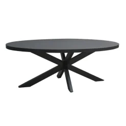 Livingfurn - Eetkamertafel Kala Oval Spider 160cm - Mangohout / Gecoat Staal