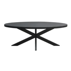 Livingfurn - Eetkamertafel Kala Oval Spider 160cm - Mangohout / Gecoat Staal
