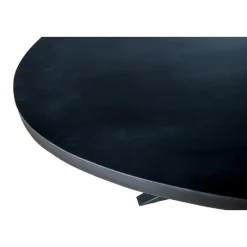 Livingfurn - Eetkamertafel Kala Oval Spider 160cm - Mangohout / Gecoat Staal