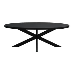 Livingfurn - Zwart Ovale Eetkamertafel - - Mango Hout - 210 cm