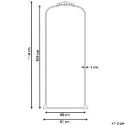 LIVRY - Wandspiegel - Goud - 51 x 114 cm - Metaal