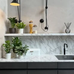 Luchtzuiverende kamerplanten - Set van 5 - Hoogte 25-40cm - ⌀12cm