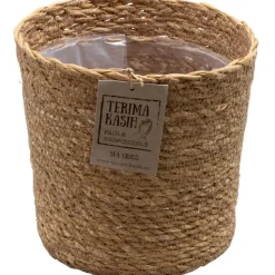 Luchtzuiverende kamerplanten - Set van 5 - Met mand - Hoogte 25-40cm - ⌀12cm