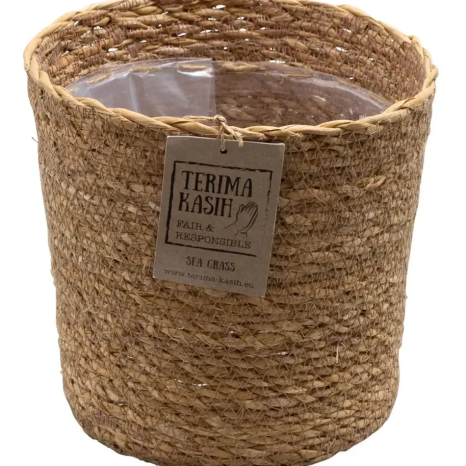 Luchtzuiverende kamerplanten - Set van 5 - Met mand - Hoogte 25-40cm - ⌀12cm