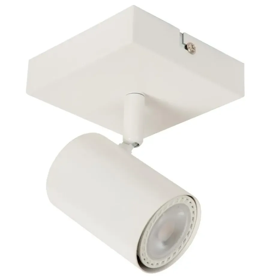 Lucide AMIGO Plafondspot - Wit