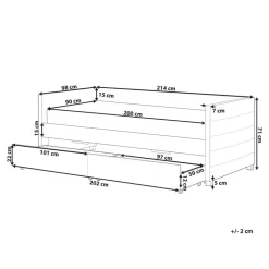MARRAY - Slaapbank - Roze - 90 x 200 cm - Fluweel