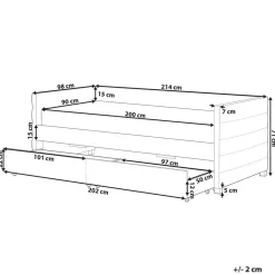 MARRAY - Slaapbank - Zwart - 90 x 200 cm - Fluweel